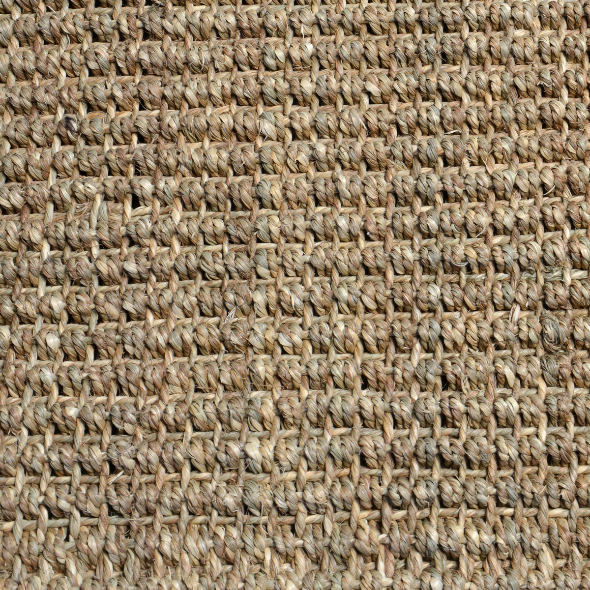 30065106