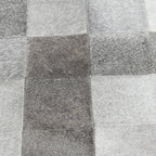 53002016