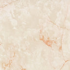 9031000QN3-225