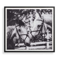 41465