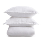 BEDD331K