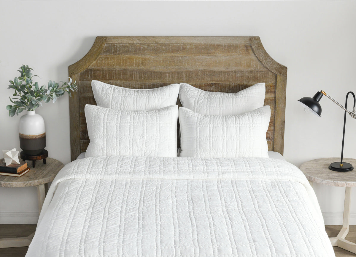 V240007