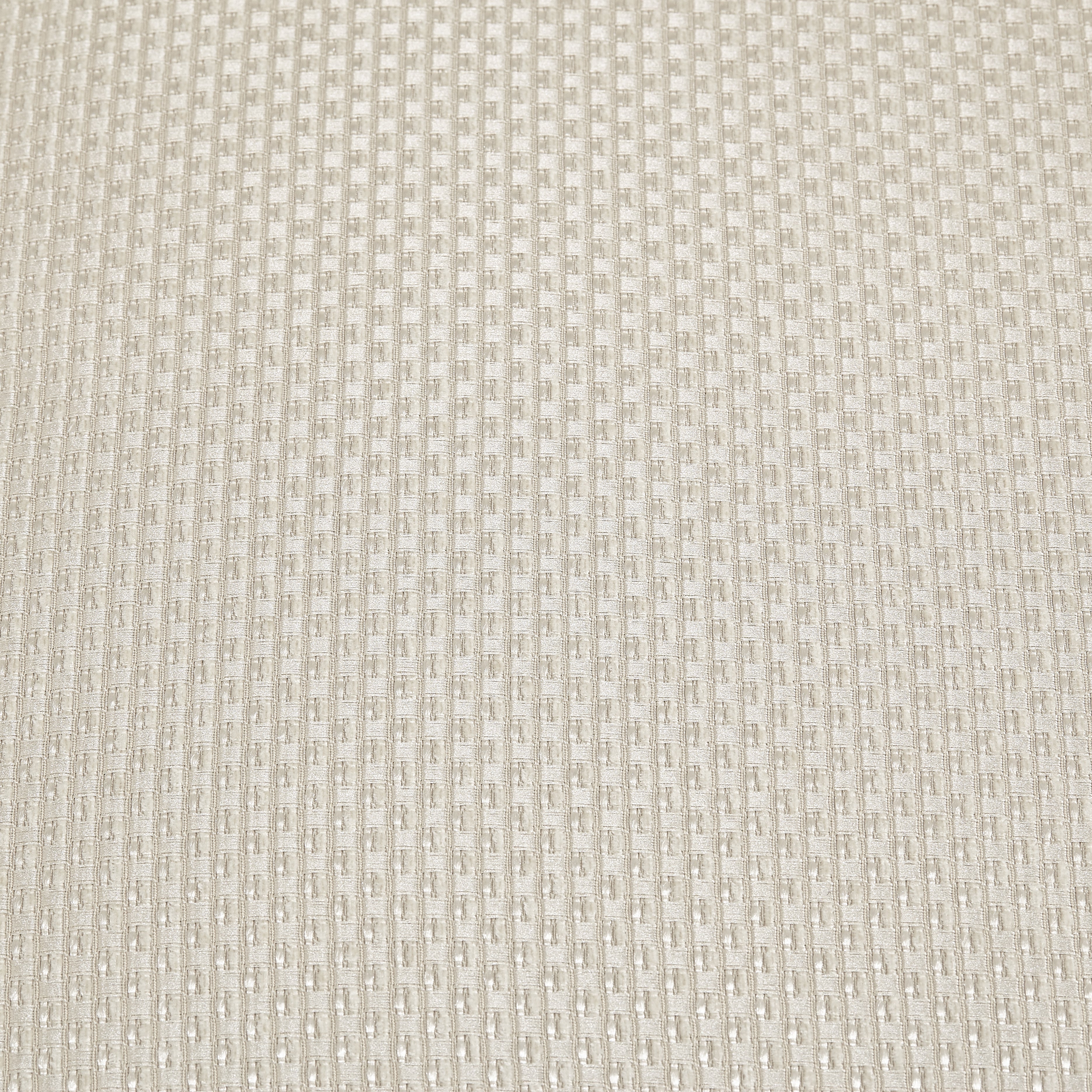 NC9004825-CHPGN-124