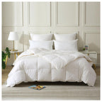 TR112001DI-KG-WHT