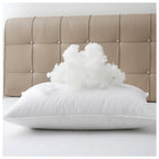 TR112003BP-KG-WHT
