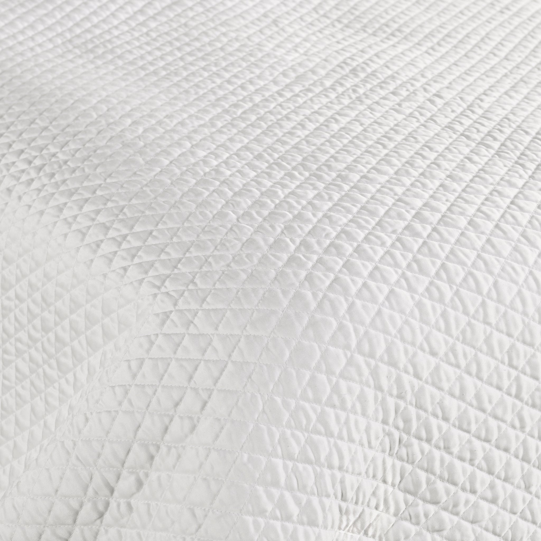 V032529