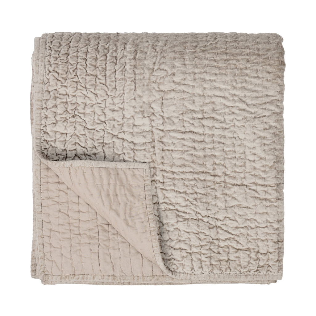 V160024