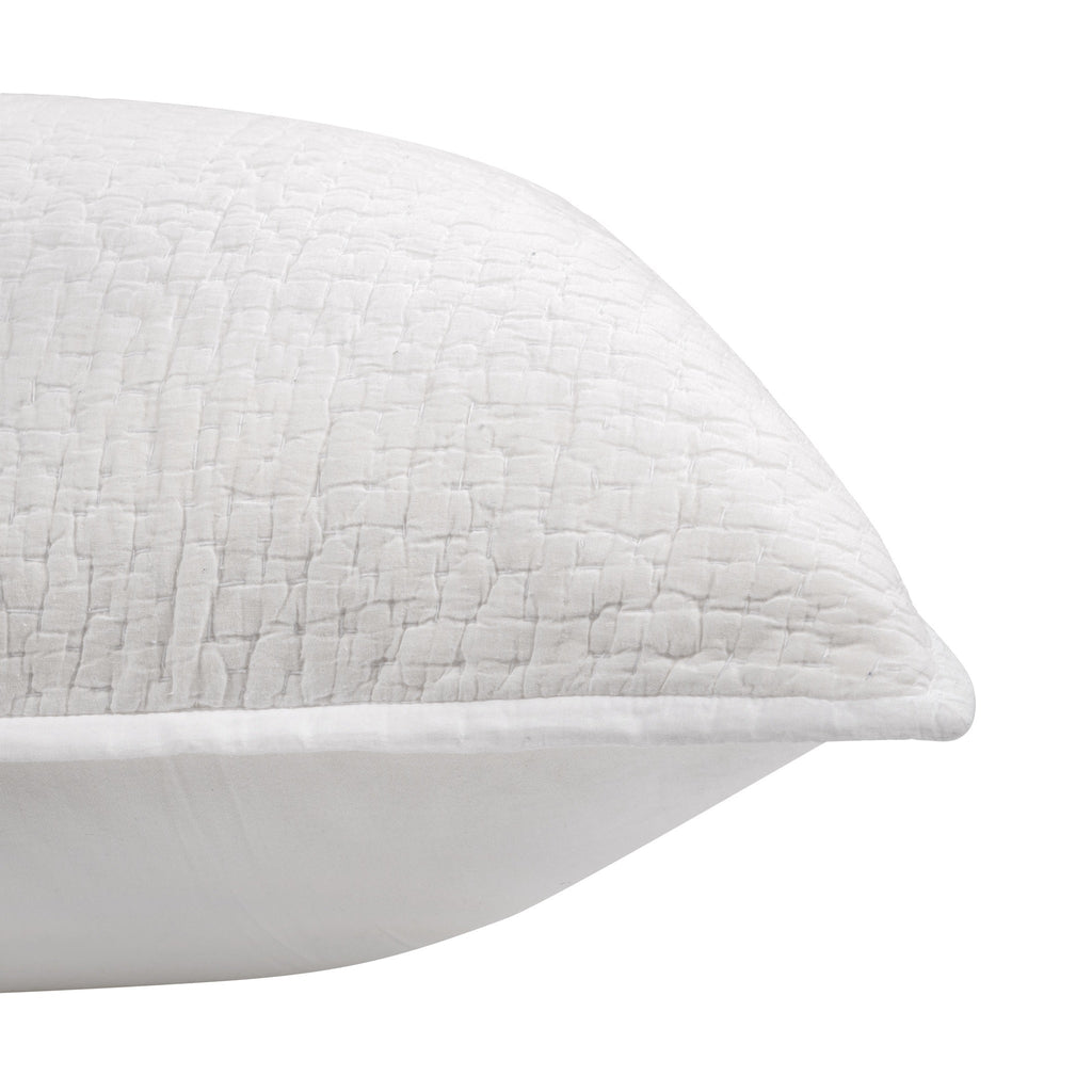 BEDQ508Q