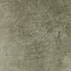V200065