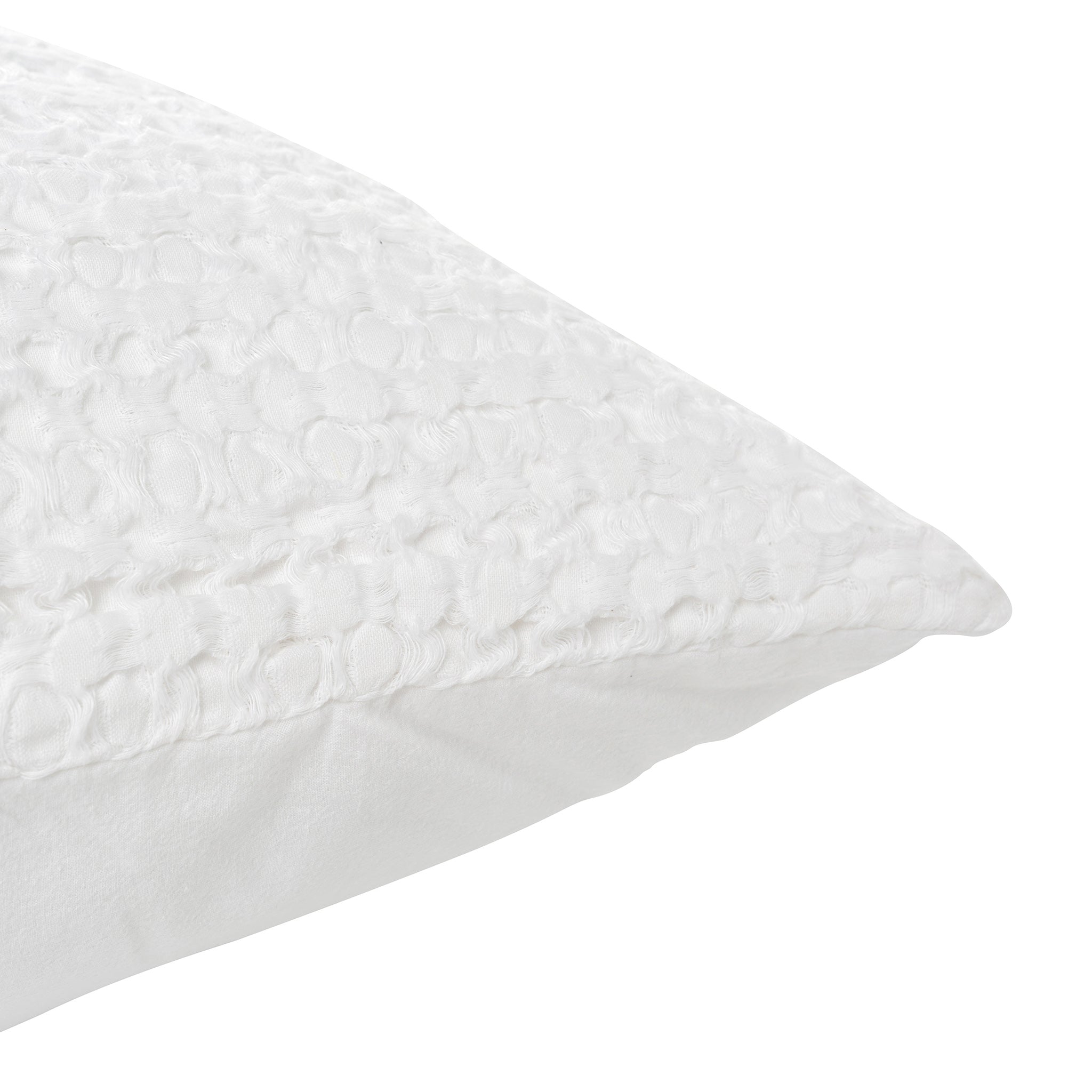 V250157SW
