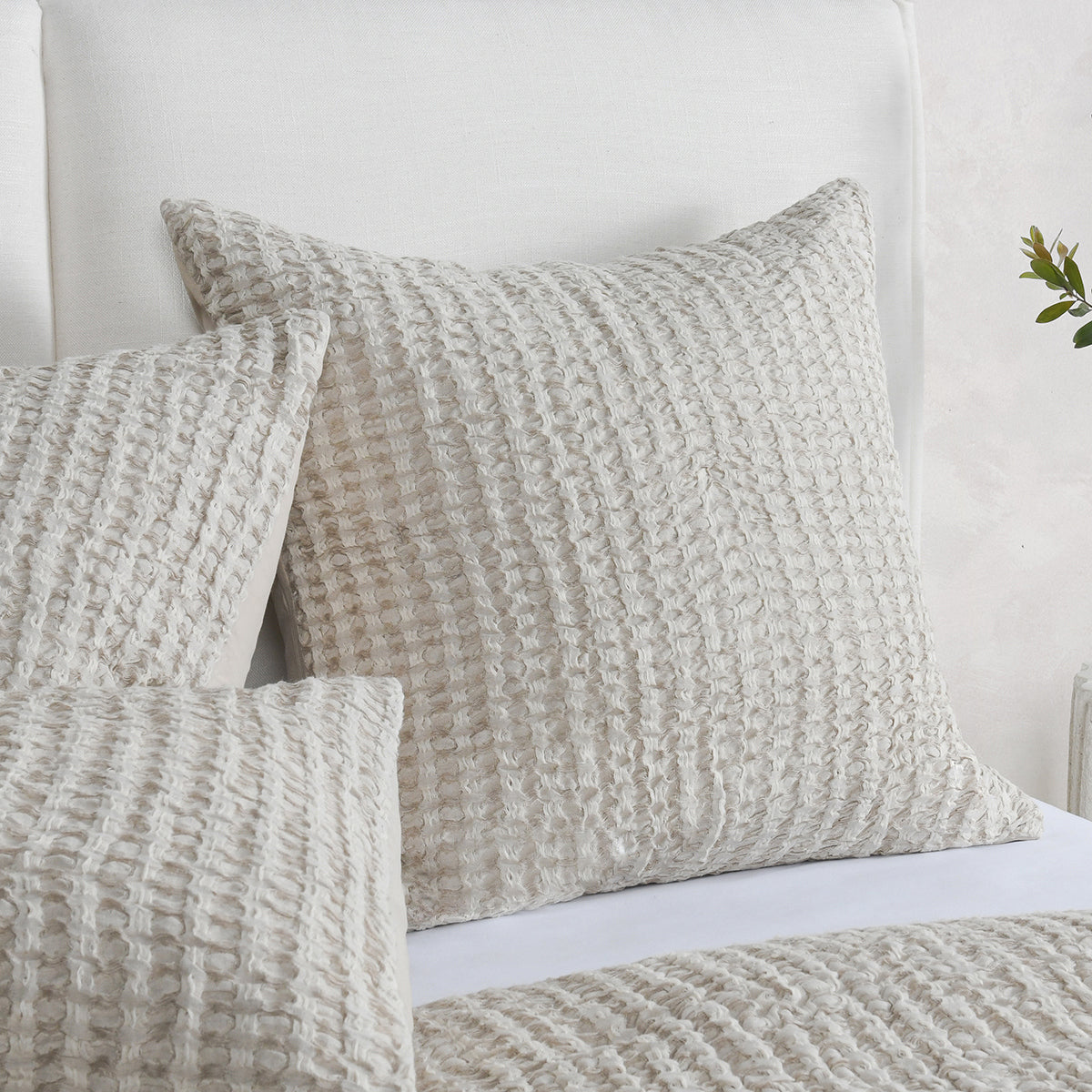 V250162