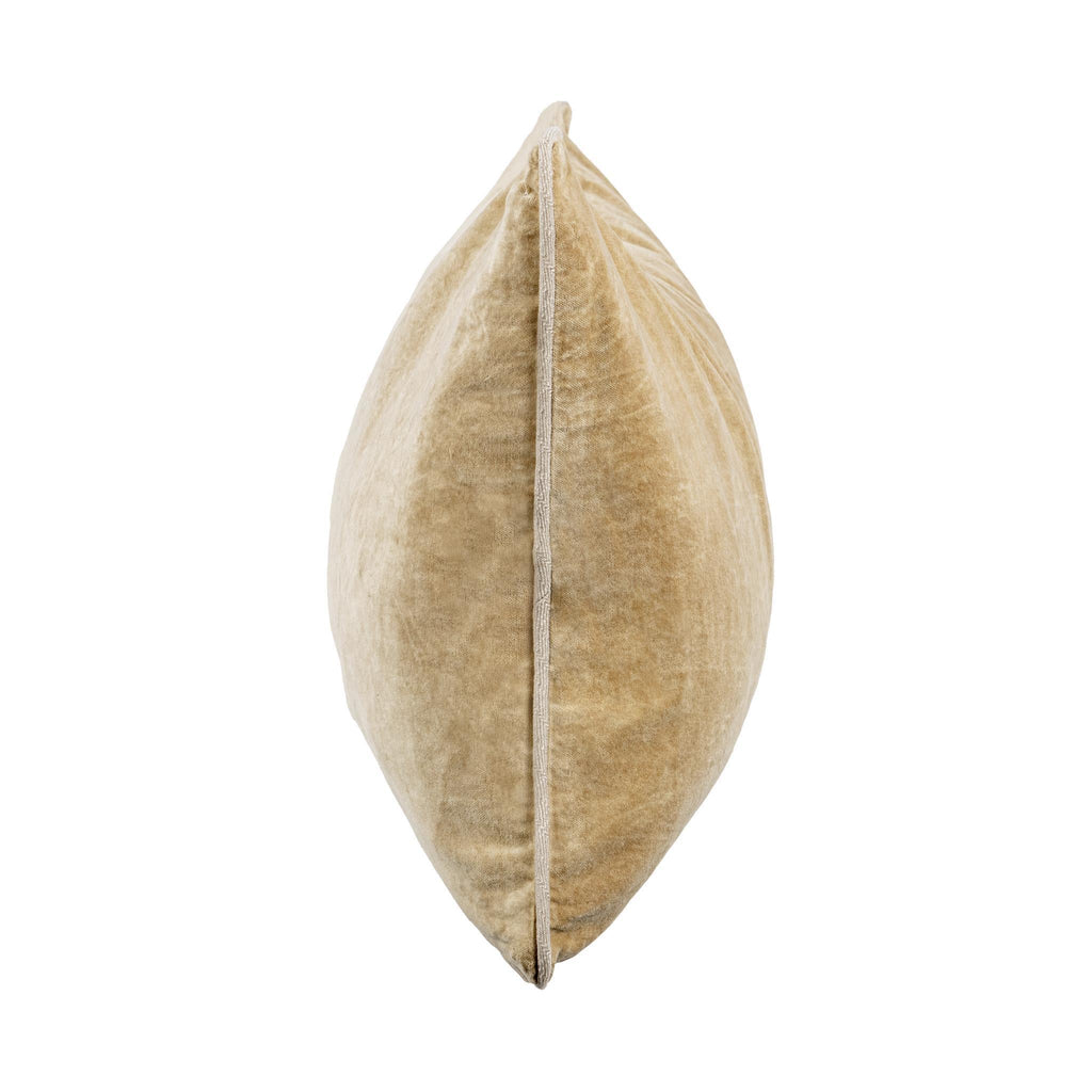V200062