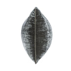 V310069